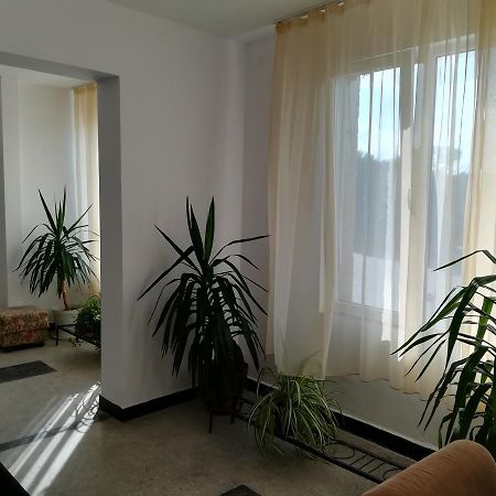 Hostel Šabla Exteriér fotografie