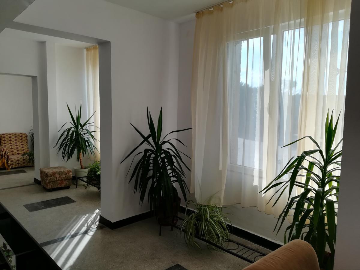 Hostel Šabla Exteriér fotografie